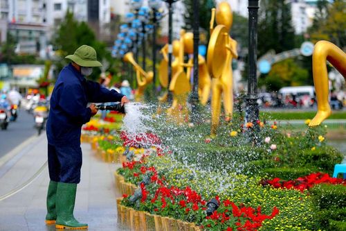 Hình ảnh Đà Lạt trước ngày khai hội Festival Hoa 2024