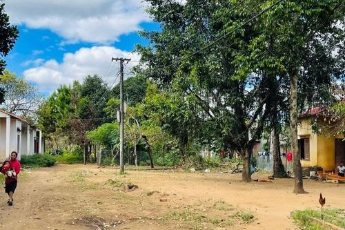 Khoảng lặng thôn Tây Hồ