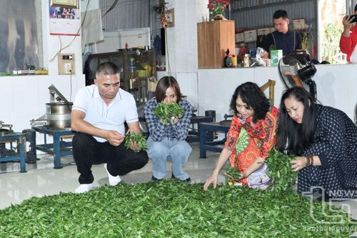 Chương trình Famtrip giới thiệu 'Tứ đại danh trà Thái Nguyên'
