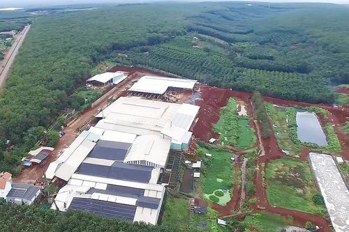 Bình Phước: Mùi hôi trong không khí bắt nguồn từ Nhà máy sấy cán mủ cao su Thuận Lợi