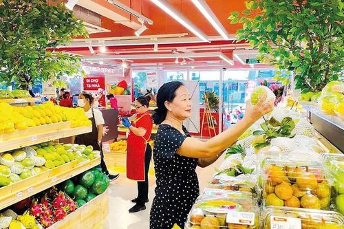 Luật Thuế Giá trị gia tăng (sửa đổi) phù hợp với xu hướng cải cách thuế
