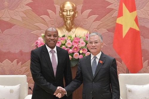 Làm sâu sắc hơn nữa quan hệ hợp tác Việt Nam - Tanzania