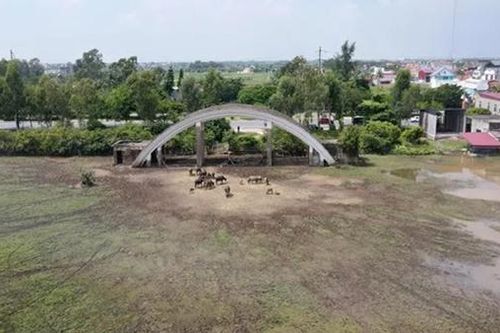 Xử lý hàng loạt dự án có dấu hiệu vi phạm luật đất đai tại Hải Phòng
