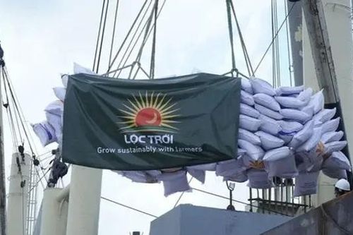 Lộc Trời bổ nhiệm hai Phó TGĐ trước thềm họp bất thường