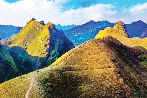 Đồi cỏ cháy Ba Quáng - điểm du lịch hấp dẫn
