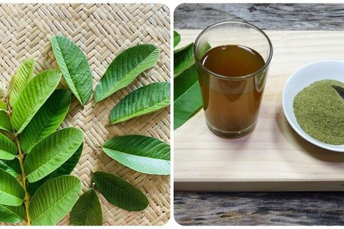 Rửa mặt bằng nước lá ổi có tác dụng gì?