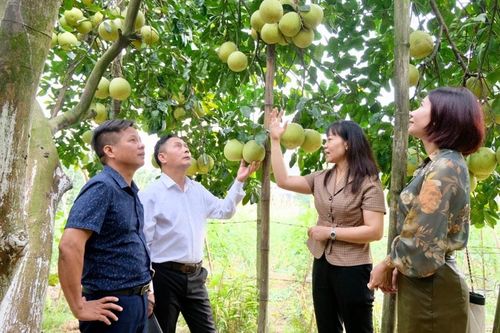 Tin tức đặc biệt trên báo in Hànôịmới ngày 2-12-2024