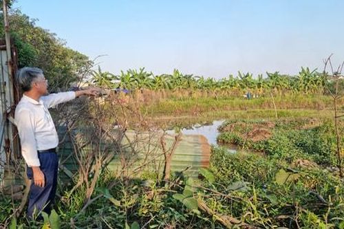 Gia Lâm: Hoàn thành giải phóng mặt bằng Dự án mở rộng cơ sở đào tạo Học viện Phụ nữ Việt Nam trong tháng 12-2024