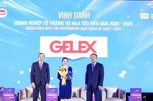 GELEX là một trong 15 doanh nghiệp có thương vụ M&A tiêu biểu 2023-2024
