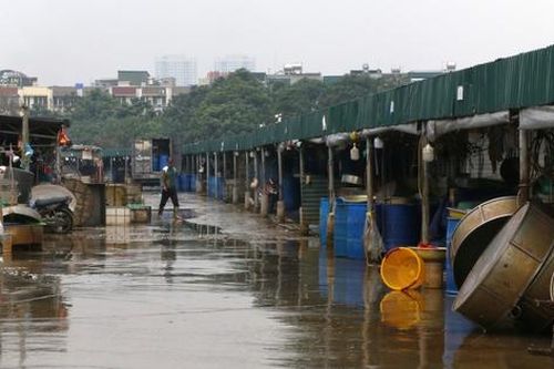 Hà Nội: Khu chợ rộng hàng ngàn m2 hoạt động trái phép trên đất công trình thủy lợi ở Hà Đông