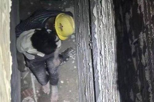 Đột nhiên biến mất 12 ngày sau khi đi vệ sinh lúc nửa đêm, người phụ nữ được phát hiện ở nơi kinh hoàng nhất