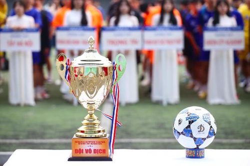 Chân dung 16 đội xuất sắc mùa giải 2024