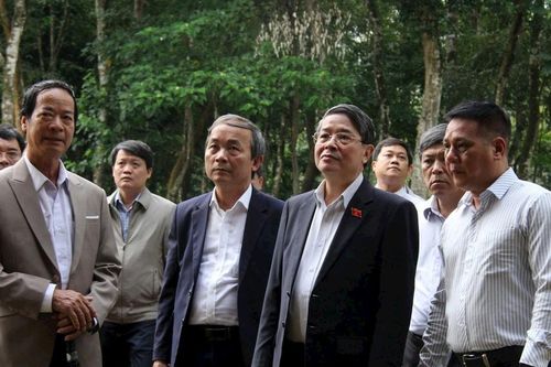 Phó Chủ tịch Quốc hội Nguyễn Đức Hải khảo sát thực địa Khu di tích Mỹ Sơn