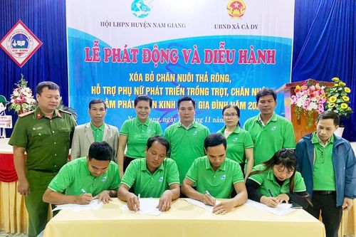 Nỗi lo từ gia súc thả rông
