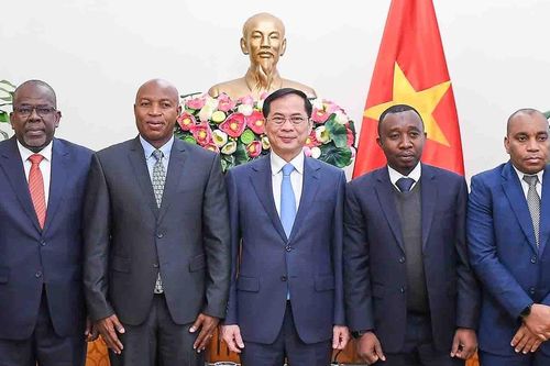 Phó Thủ tướng, Bộ trưởng Ngoại giao Bùi Thanh Sơn tiếp Thứ trưởng Bộ Ngoại giao và Hợp tác Đông Phi Tanzania Cosato David Chumi