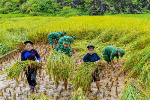 Tăng cường công tác vận động quần chúng, tạo sự ổn định và phát triển bền vững ở khu vực biên giới, vùng biển, đảo