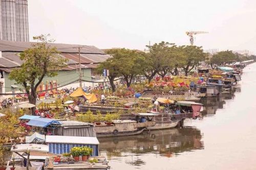Gần 700 gian hàng tại Chợ hoa xuân 'Trên bến dưới thuyền' Tết Ất Tỵ