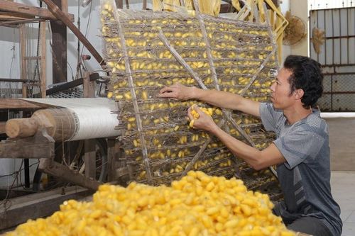 Huyện Mỹ Đức: Sản phẩm OCOP tạo hiệu ứng lan tỏa tích cực