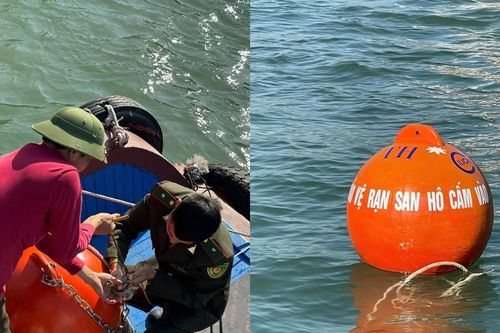 Bảo tồn và phục hồi hệ sinh thái rạn san hô