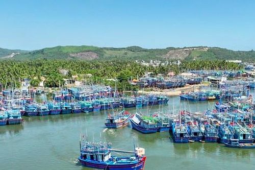 Kỷ luật Giám đốc Ban Quản lý cảng cá ở Bình Định