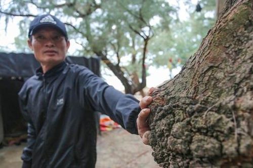 Hương ước giữ rừng trăm năm tuổi