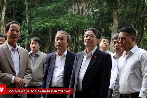 Phó Chủ tịch Quốc hội khảo sát công tác trùng tu tại Mỹ Sơn