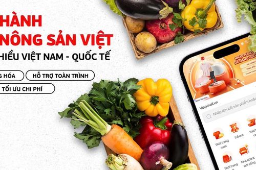 Sắp ra mắt sàn bán buôn xuyên biên giới 2 chiều đầu tiên tại Việt Nam