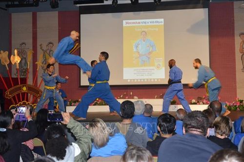 Sôi động giải Cúp Trần Huy Phong Vovinam - Việt Võ Đạo tại Pháp