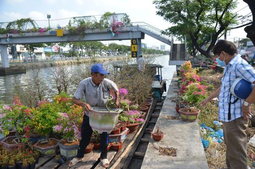 TP Hồ Chí Minh: Nhiều nét mới tại Chợ hoa Xuân 'Trên bến dưới thuyền'