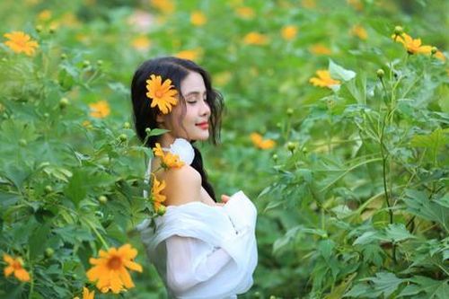 Giới trẻ rủ nhau đi ngắm sắc vàng hoa dã quỳ giữa lòng Hà Nội