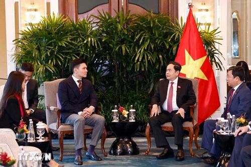 Tập đoàn Singapore muốn đầu tư thêm khu công nghiệp VSIP tại Việt Nam