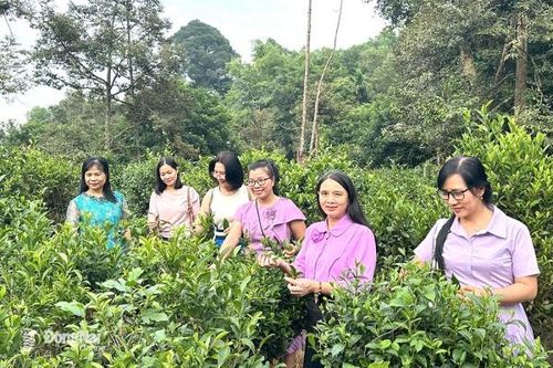 Nhơn Trạch khai thác tiềm năng du lịch
