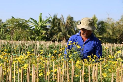 Tập trung phát triển Đề án Tái cơ cấu ngành nông nghiệp theo hướng bền vững