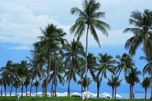 Mùa đông Nha Trang