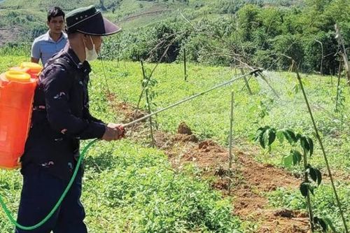 Mô hình mới trên đất Quảng Nhâm