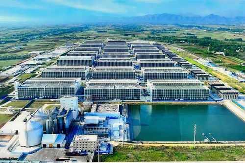 BAF Việt Nam: Bổ nhiệm 2 tân Phó Tổng giám đốc, mở rộng mảng chăn nuôi