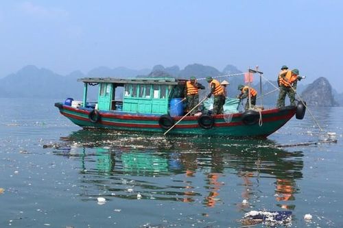Quảng Ninh: Chung tay bảo vệ môi trường biển để phát triển kinh tế bền vững