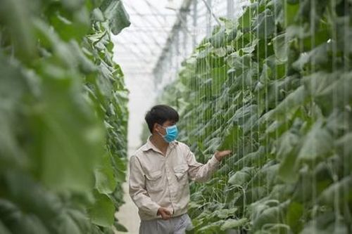 Gỡ khó trong thành lập và chuyển đổi Quỹ Hỗ trợ phát triển HTX