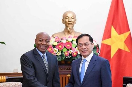 Việt Nam và Tanzania lần đầu tiên tổ chức tham vấn chính trị song phương
