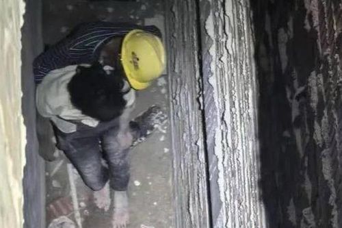 Đi vệ sinh rồi mất tích 12 ngày, người phụ nữ được tìm thấy ở nơi bất ngờ