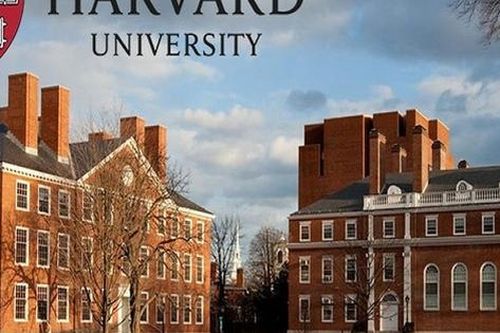 Giúp con từ đứa trẻ bại não trở thành thạc sĩ Đại học Harvard, mẹ đơn thân chia sẻ cách dạy con độc đáo