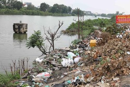 Rác thải bao vây khu neo đậu tàu, thuyền tránh trú bão ở Nghệ An