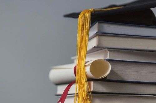 Đại học Hải Phòng hỗ trợ 500 triệu đồng cho giáo sư về làm việc