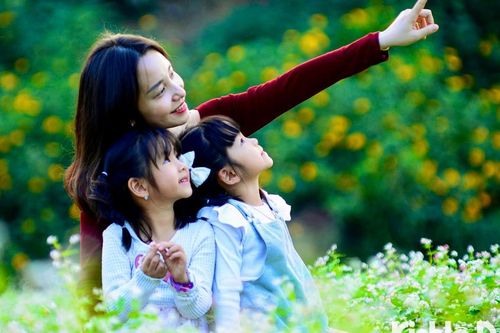 Chiêm ngưỡng vẻ đẹp hoa tam giác mạch nở rộ giữa lòng Thủ đô