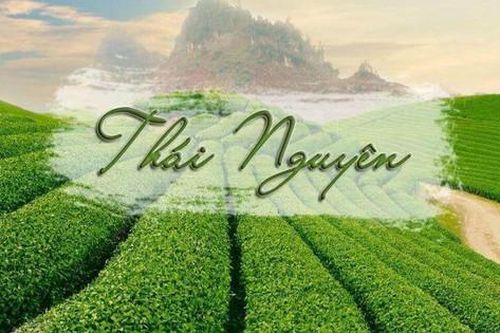 Đề xuất các giải pháp công nghệ số cho sản phẩm chè Thái Nguyên