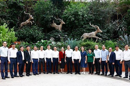 Ấn tượng kinh tế xanh ở 'Quốc đảo sư tử' năng động và mến khách