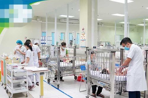 Ăn nhầm lá hoa thủy tiên, 2 trẻ bị ngộ độc nặng