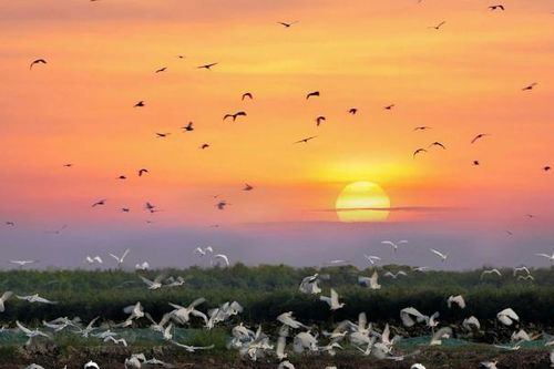 Long An miễn giảm phí vào cổng nhiều điểm du lịch