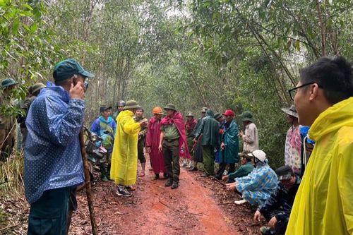 Tìm thấy cụ ông đi lạc trong rừng ở Quảng Nam