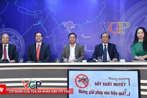 Phòng tránh sốt xuất huyết - Những giải pháp nào hiệu quả?